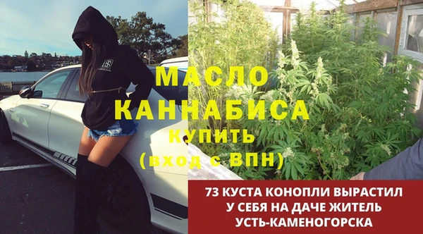 молекула духа Белая Холуница