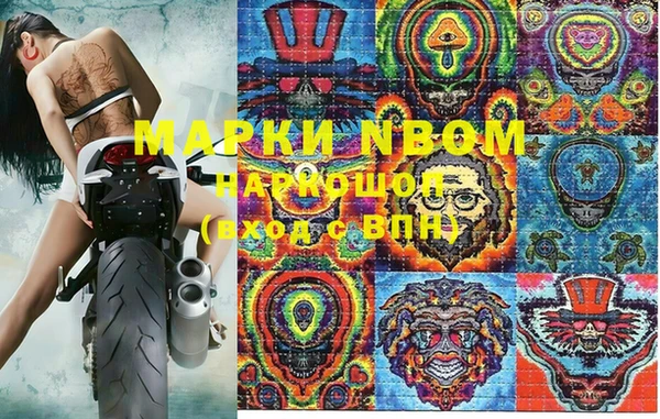 крисы Билибино