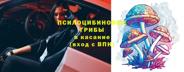 молекула духа Белая Холуница