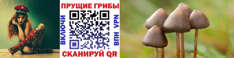 ссылка на мегу ONION  хочу   Качканар  Псилоцибиновые грибы Magic Shrooms 