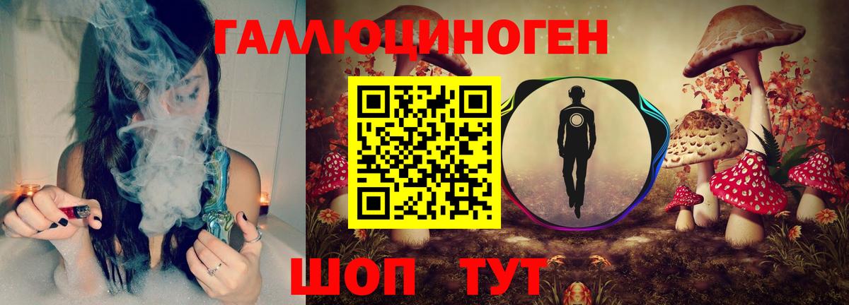 Галлюциногенные грибы GOLDEN TEACHER  Вход с VPN  Качканар 